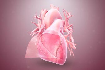 آب آوردن قلب